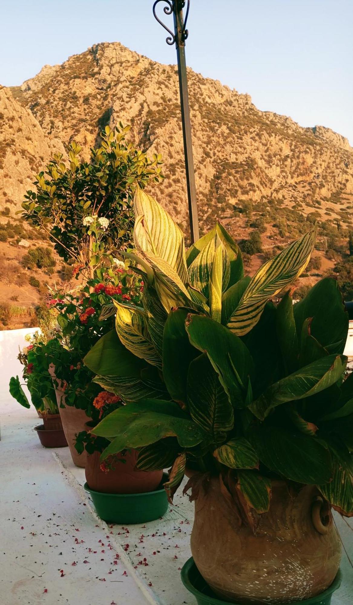 Dar Sbaa Bed & Breakfast Chefchaouen Exterior photo